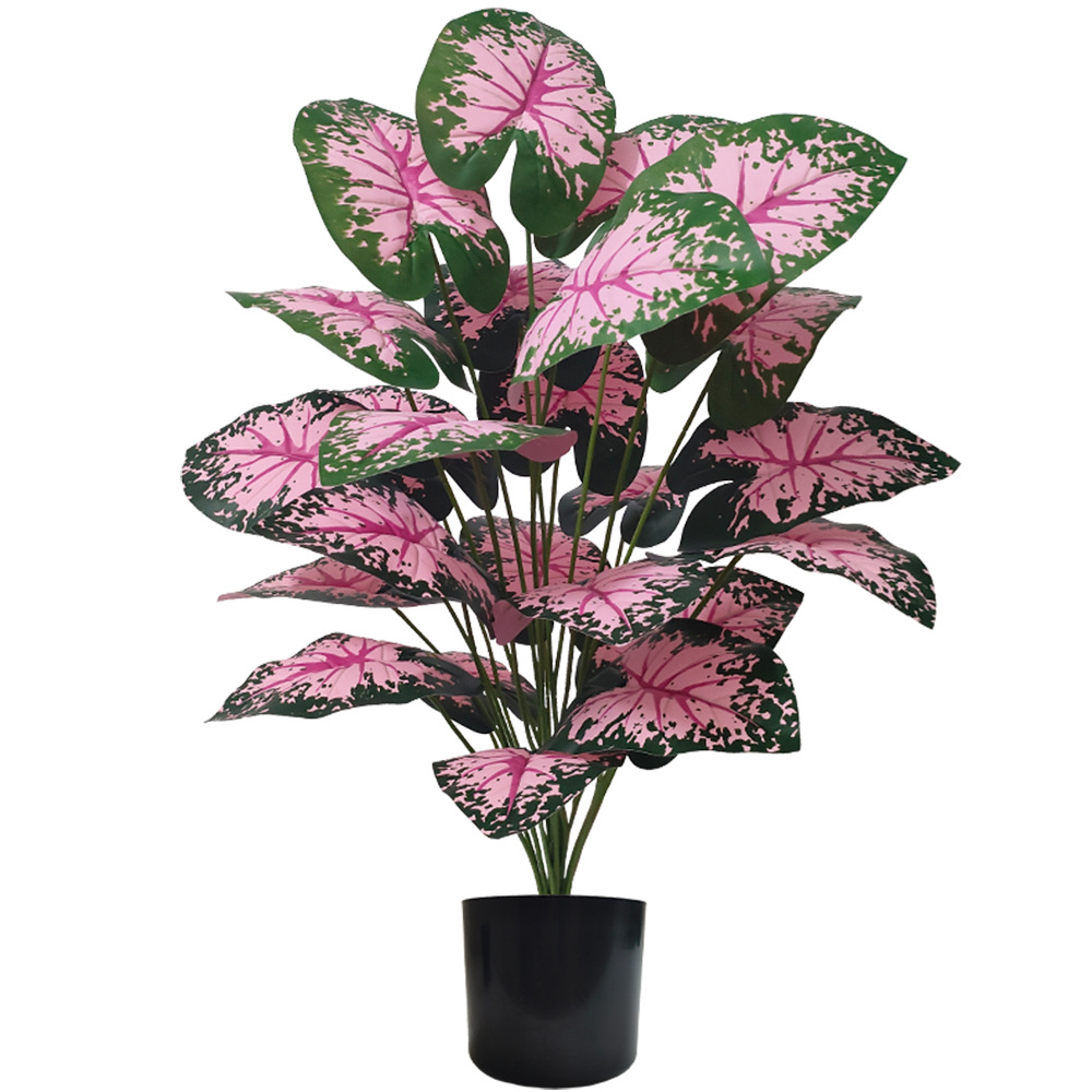 Bonsai Garden Kit - Plantas en macetas de hojas rosas,