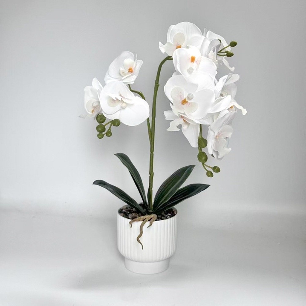 Orquídea Mariposa Artificial M - Bonsai Garden Kit reseña y precio