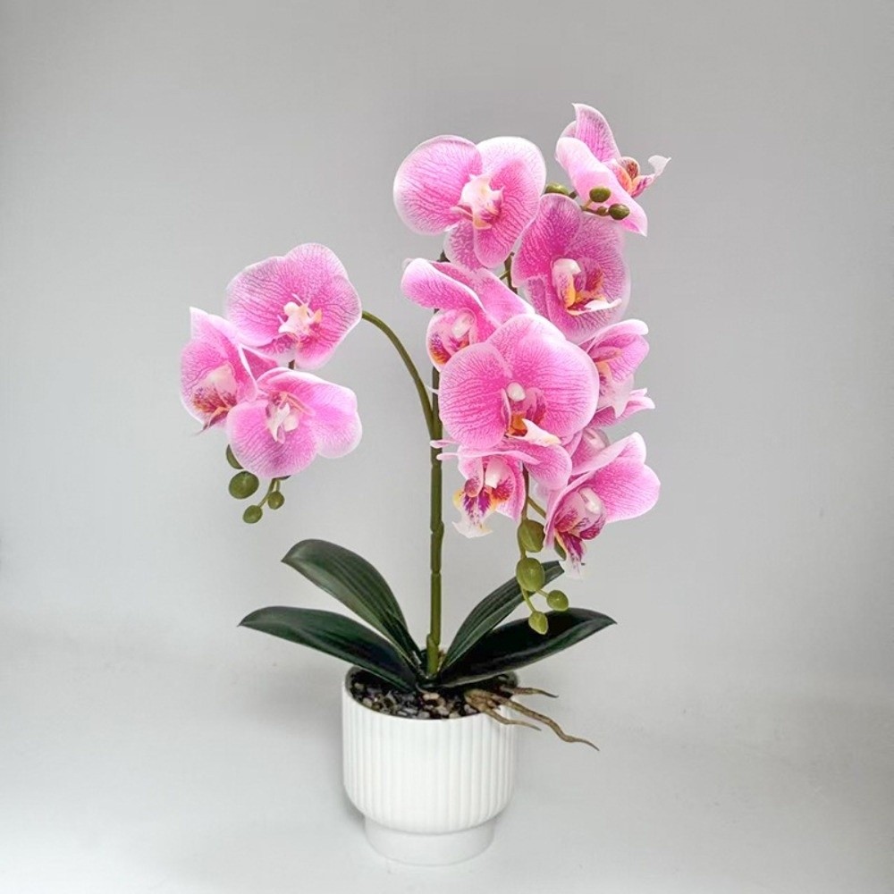 Orquídea Mariposa Artificial M - Bonsai Garden Kit reseña y precio