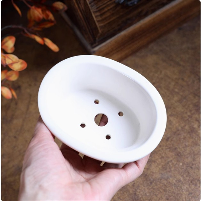 Maceta de bonsái ovalada blanc - Bonsai Garden Desk reseña y precio