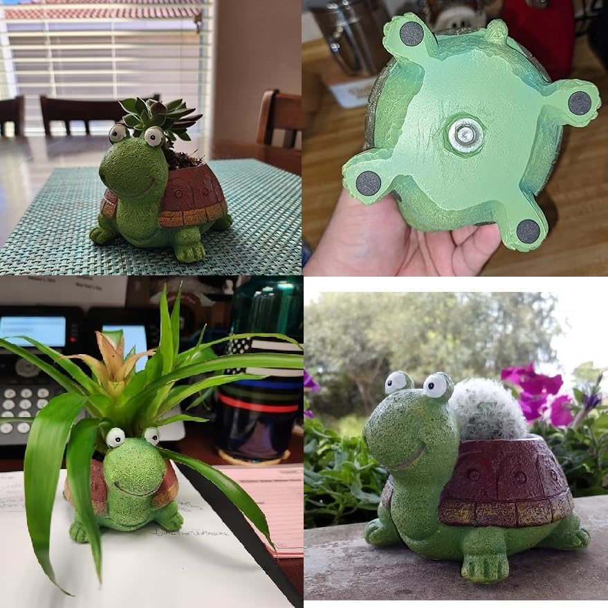 Maceta suculenta de tortuga pa - Bonsai Garden Desk reseña y precio