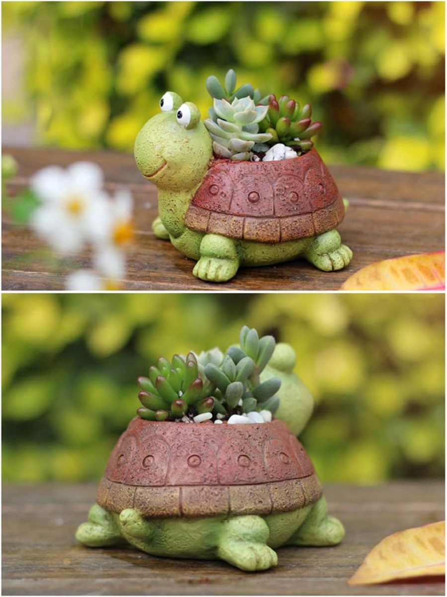 Maceta suculenta de tortuga pa - Bonsai Garden Desk reseña y precio