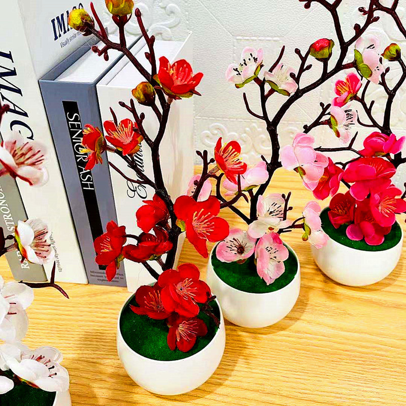 Simulación de ciruela, maceta, - Bonsai Garden Kit reseña y precio