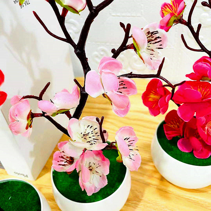 Simulación de ciruela, maceta, - Bonsai Garden Kit reseña y precio