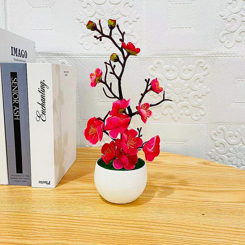 Simulación de ciruela, maceta, - Bonsai Garden Kit reseña y precio