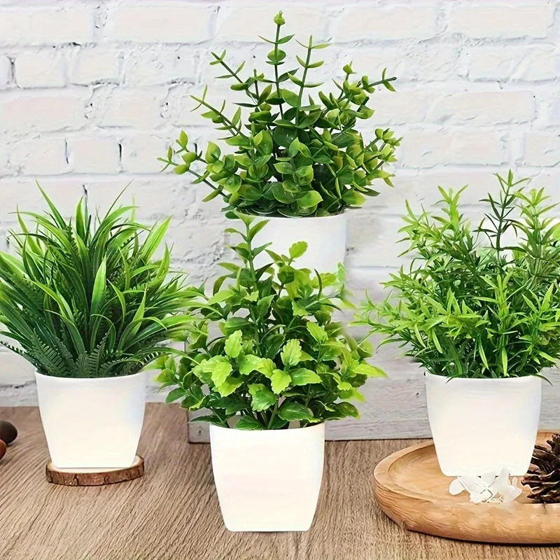 Venta al por mayor OEM/ODM Min - Bonsai Garden Kit reseña y precio