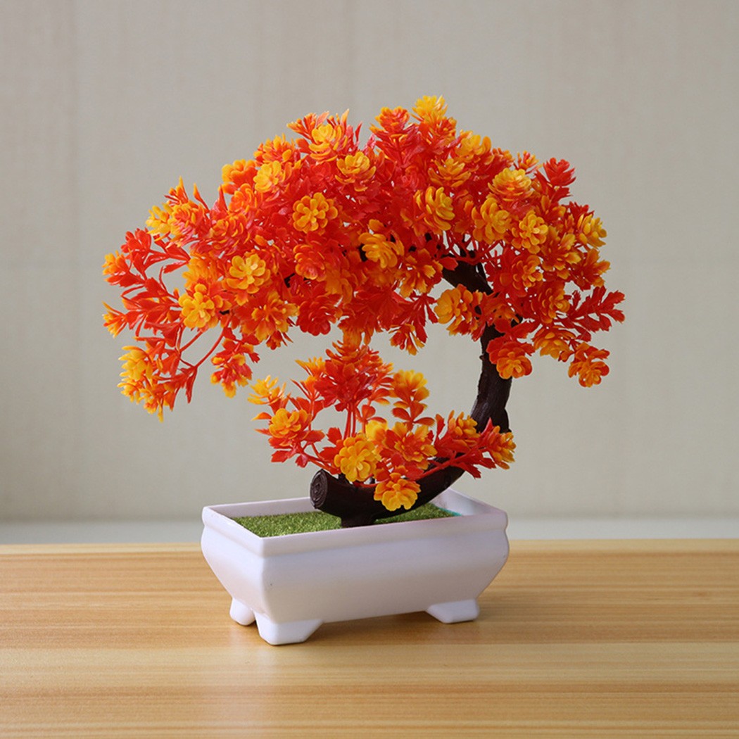 Adorno de bonsái en maceta de  - Bonsai Garden Desk reseña y precio