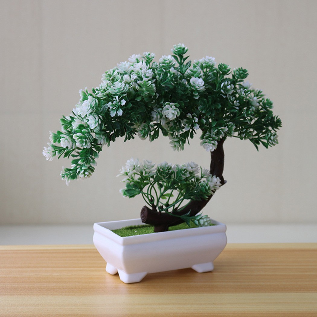 Adorno de bonsái en maceta de  - Bonsai Garden Desk reseña y precio