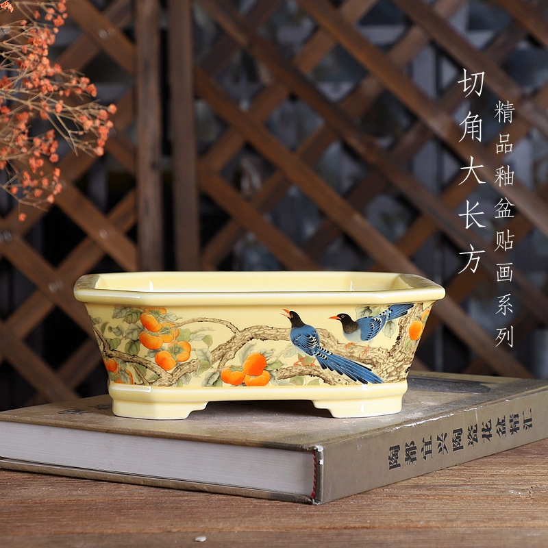 Maceta para bonsái rectangular - Bonsai Garden Desk reseña y precio