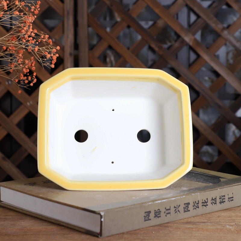 Maceta para bonsái rectangular - Bonsai Garden Desk reseña y precio