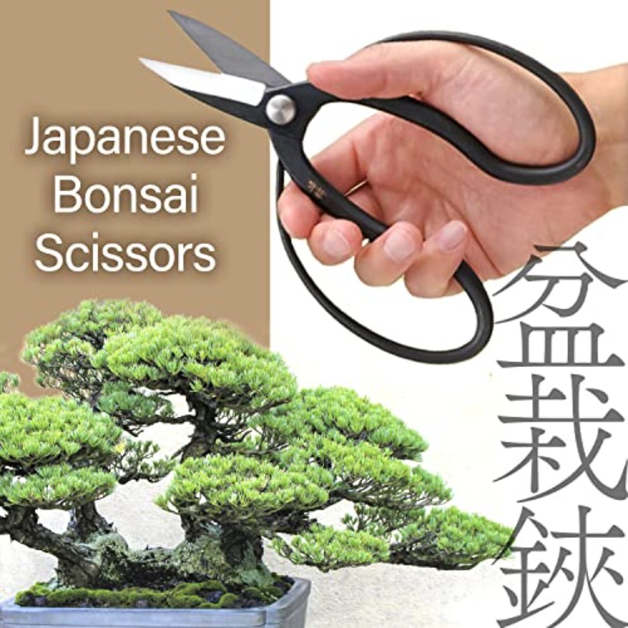 Tijeras Japonesas para Bonsái  - Bonsai Garden In Japan reseña y precio