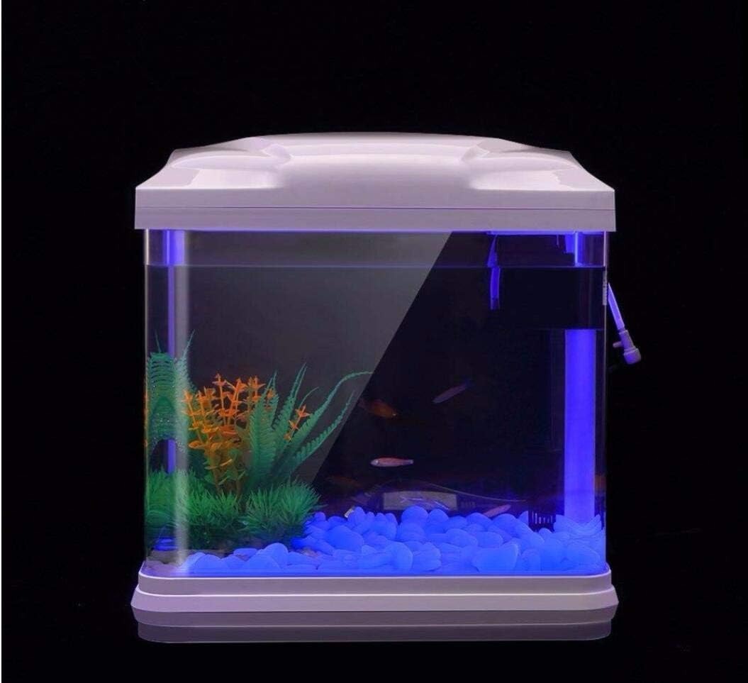 Rocas para pecera, guijarros a - Bonsai Garden Kit reseña y precio