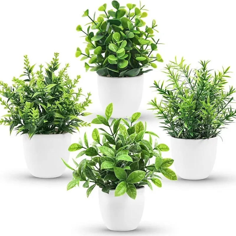 Venta al por mayor de plantas  - Bonsai Garden Kit reseña y precio