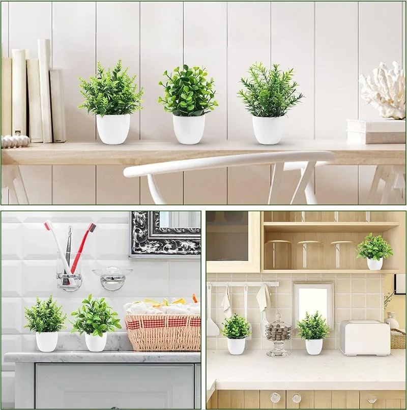 Venta al por mayor de plantas  - Bonsai Garden Kit reseña y precio