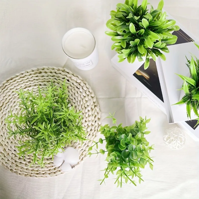 Venta al por mayor de plantas  - Bonsai Garden Kit reseña y precio