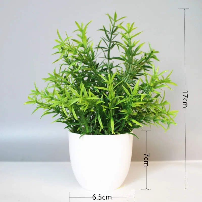 Venta al por mayor de plantas  - Bonsai Garden Kit reseña y precio