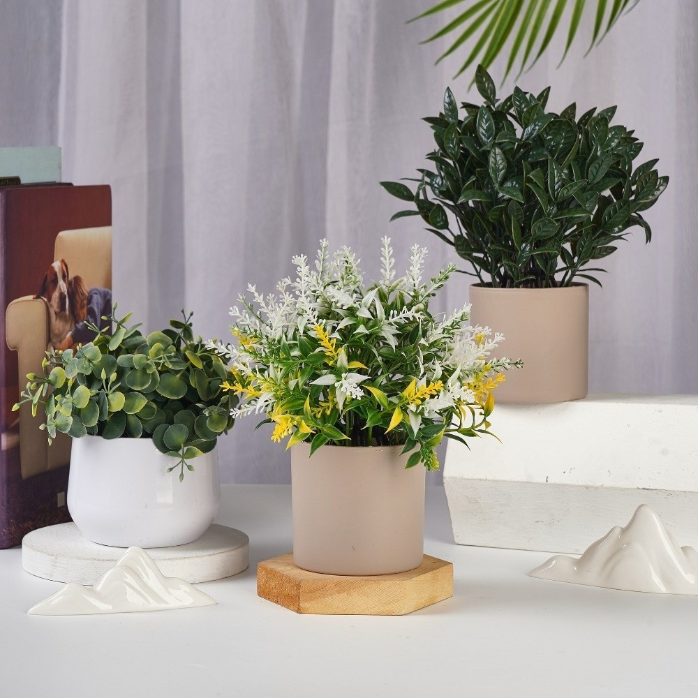 Planta Artificial de Plástico, - Bonsai Garden Kit reseña y precio
