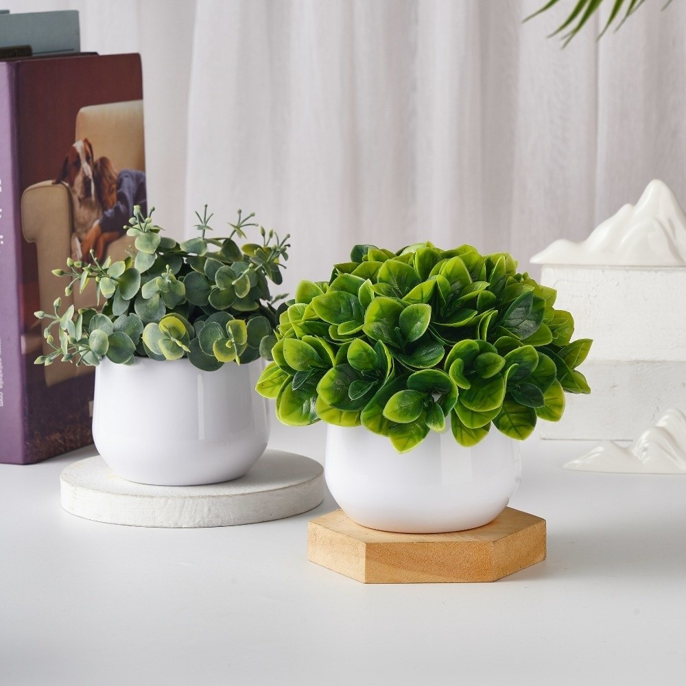 Planta Artificial de Plástico, - Bonsai Garden Kit reseña y precio