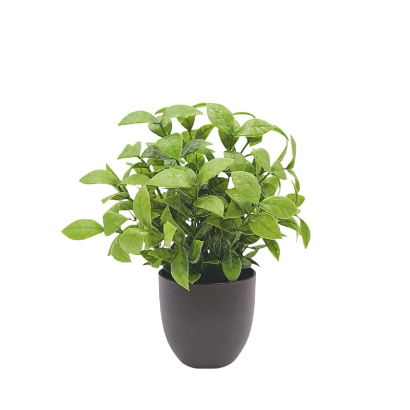 Bonsái de Planta Verde Simulad - Bonsai Garden Kit reseña y precio