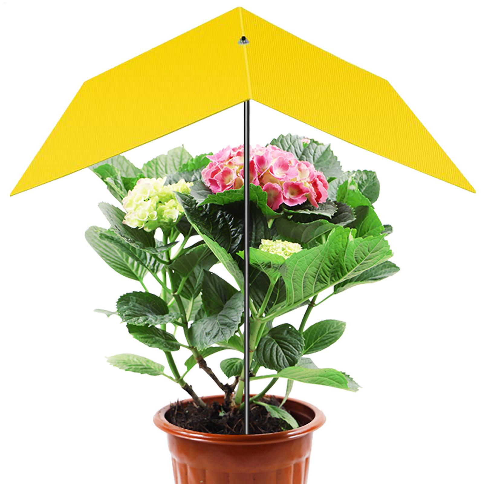 Sombrillas para plantas de ext - Bonsai Garden Backyard reseña y precio