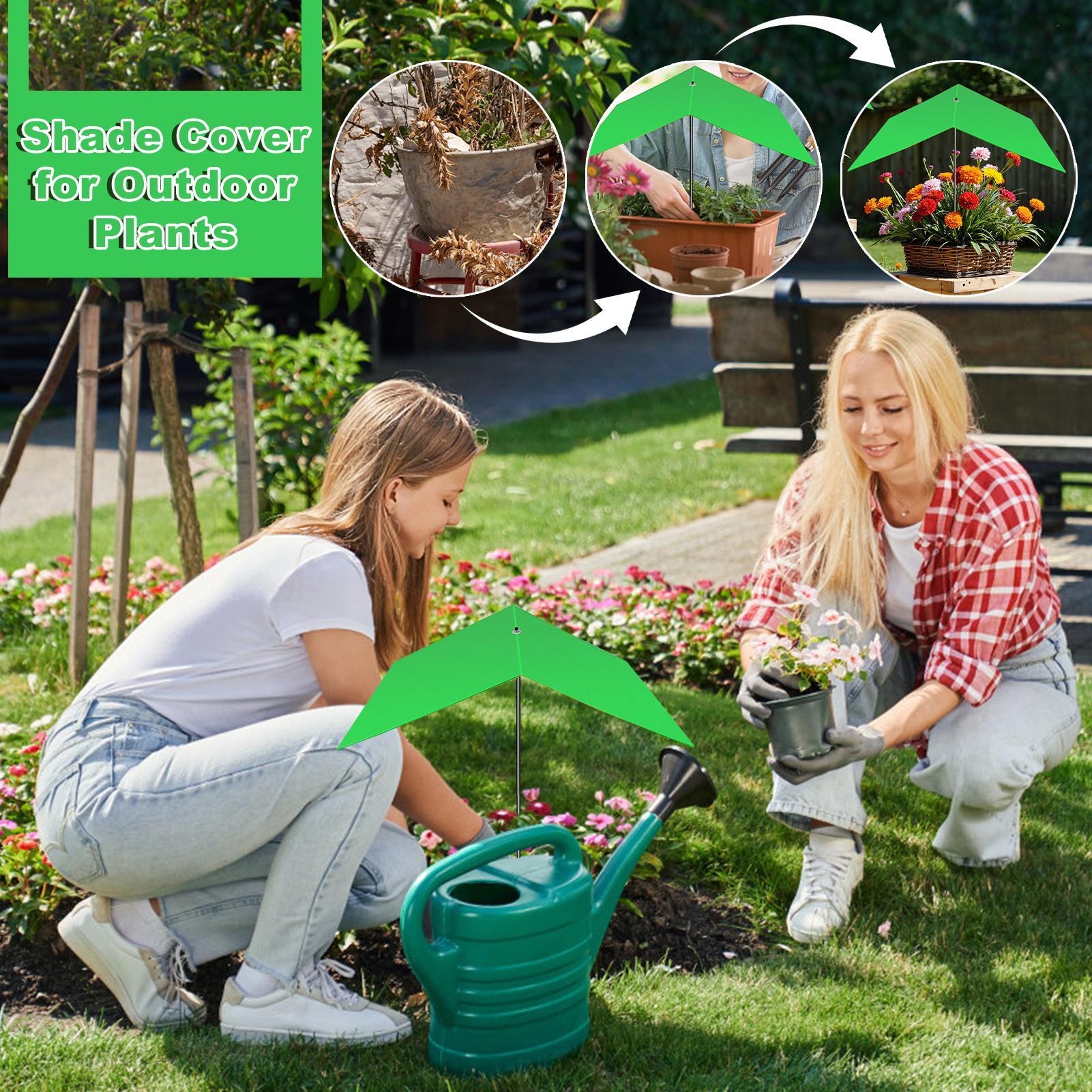 Sombrillas para plantas de ext - Bonsai Garden Backyard reseña y precio