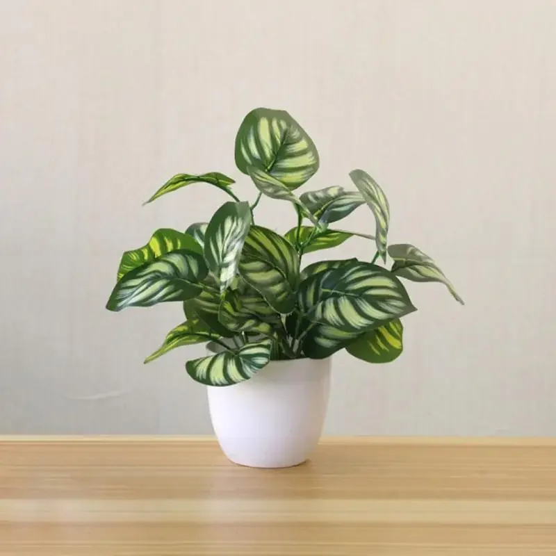 Plantas artificiales bonsái, p - Bonsai Garden Kit reseña y precio